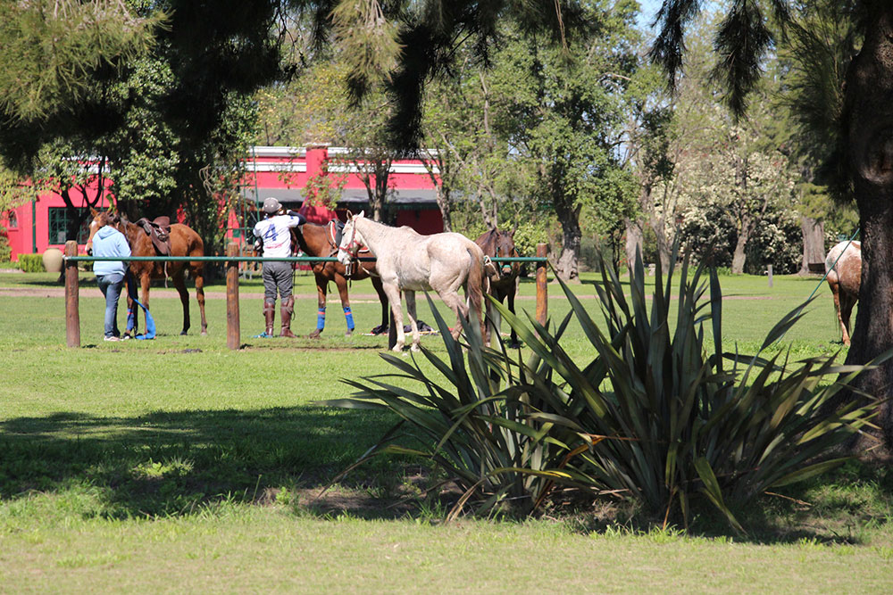 stay at an estancia