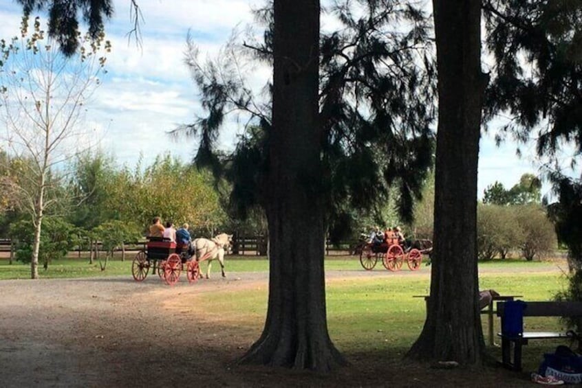 autumn day at estancia or polo club