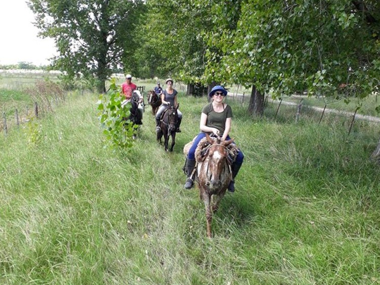people riding horses in an estancia